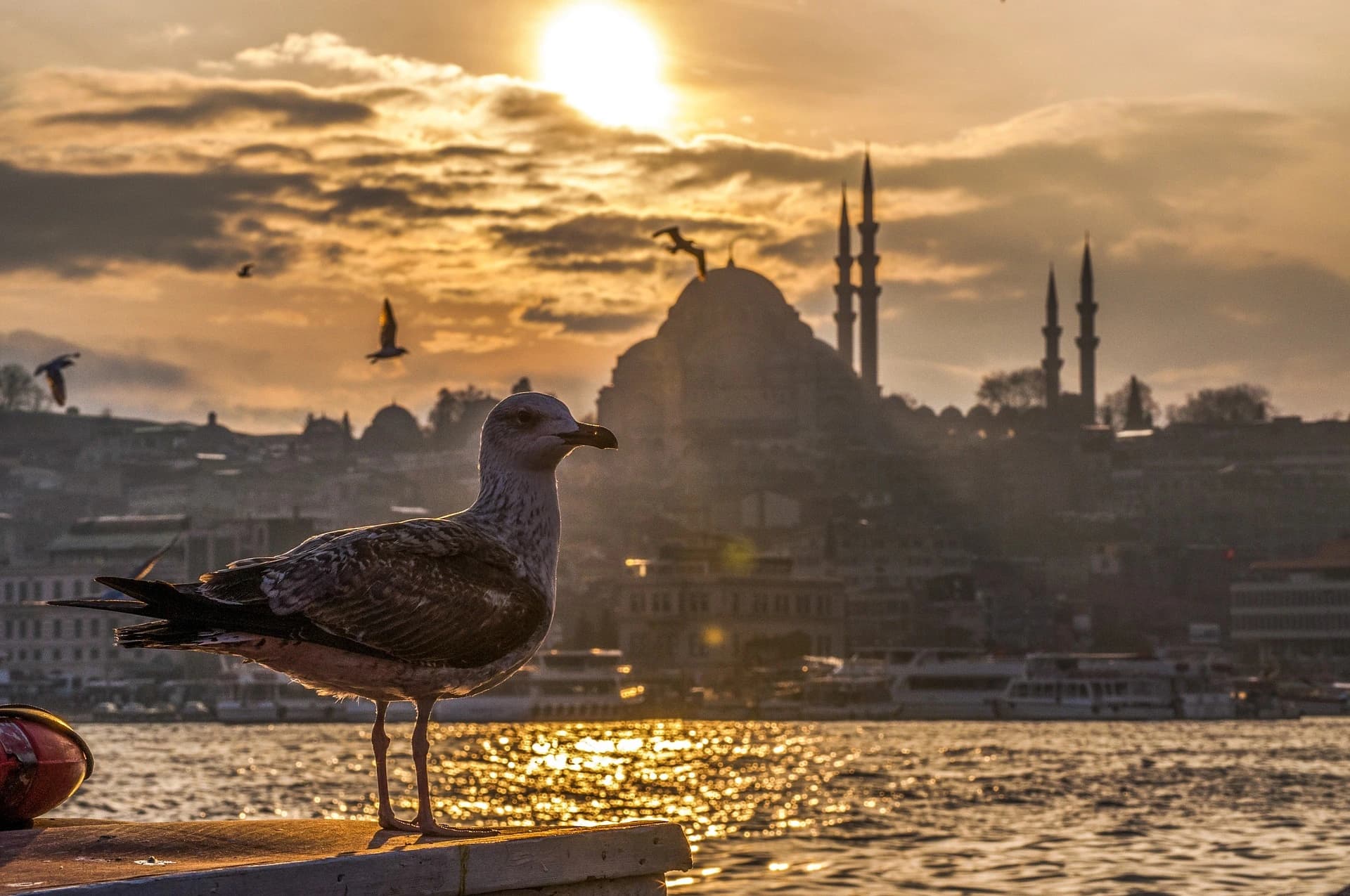 about istanbul image
